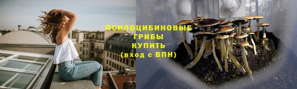 МДПВ Армянск